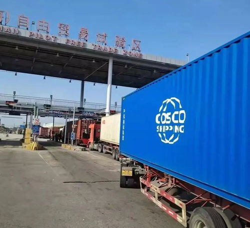 外高橋保稅區 承接全國近七成進口血透產品，物流企業構筑生命通道